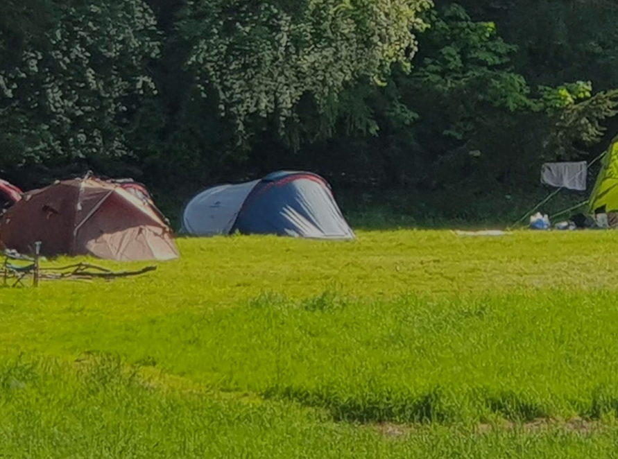 Meadow Camping Dorset