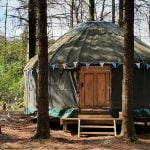 Tenders Yurt Camping in Dorset
