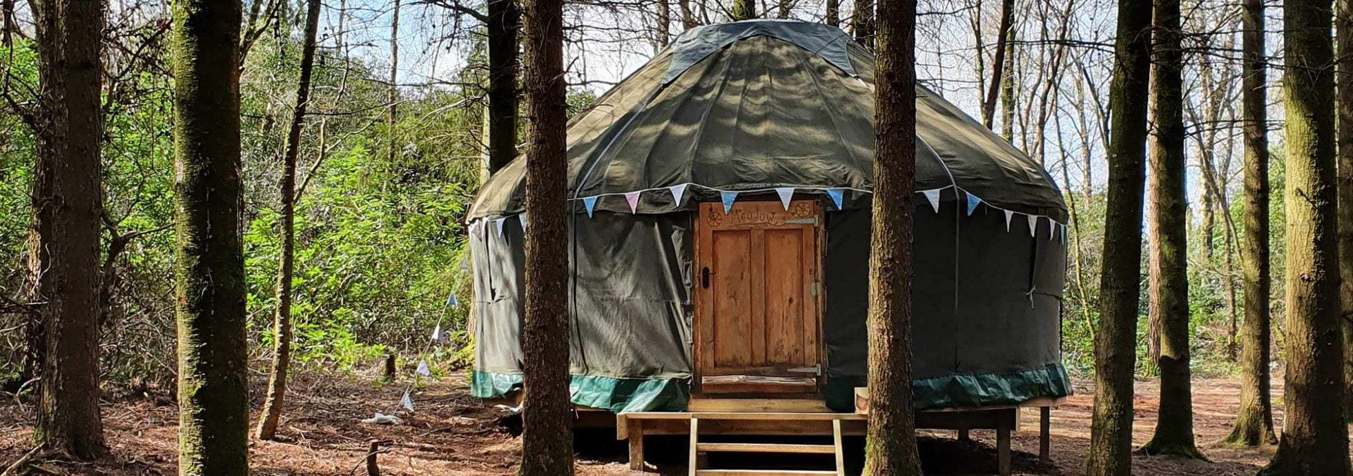 Tenders Yurt Camping in Dorset